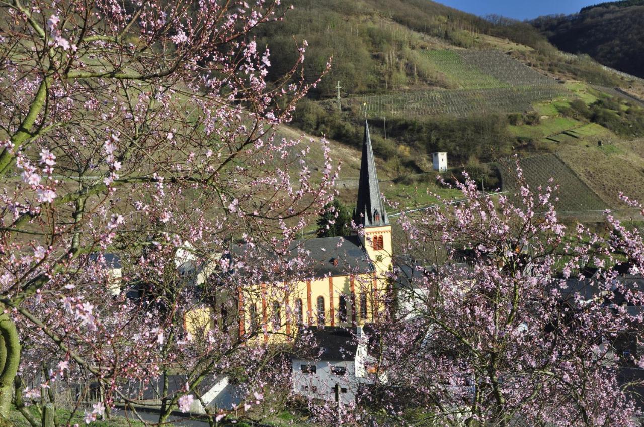 Gaestehaus Sehl Зенхайм Экстерьер фото